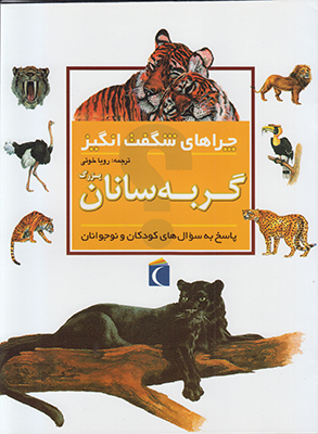چراهای شگفت انگیز گربه سانان بزرگ