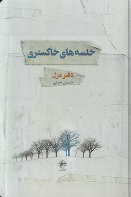 خلسه های خاکستری