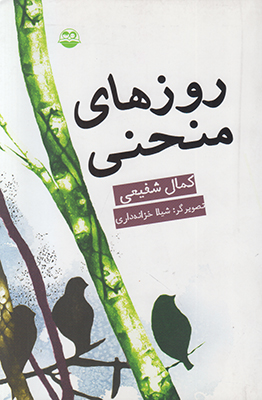 روزهای منحنی