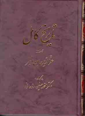 تاریخ کامل ابن اثیر (جلد 8)