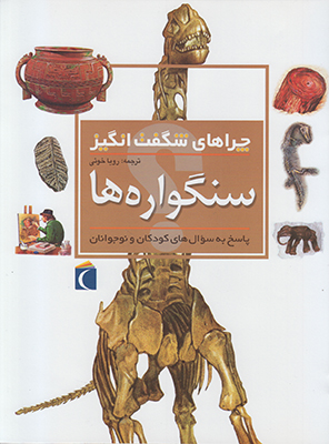 چراهای شگفت انگیز سنگواره ها
