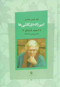 نقد شعر معاصر امیرزاده کاشی ها