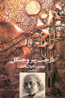 درخت پیر و جنگل