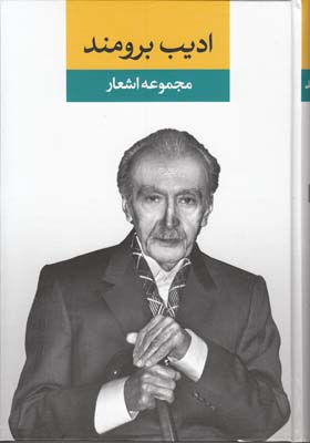 مجموعه اشعار ادیب برومند2 جلدی