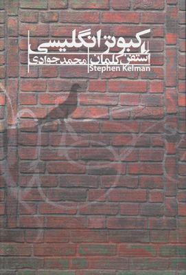 کبوتر انگلیسی