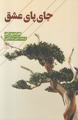 جای پای عشق