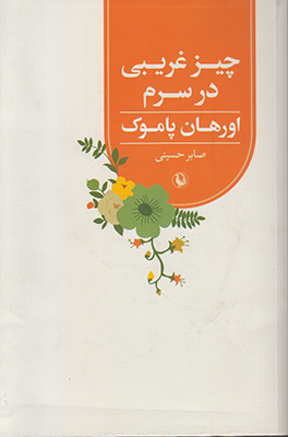 چیز غریبی در سرم 