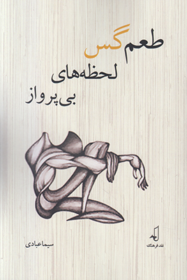 طعم گس لحظه های بی پرواز