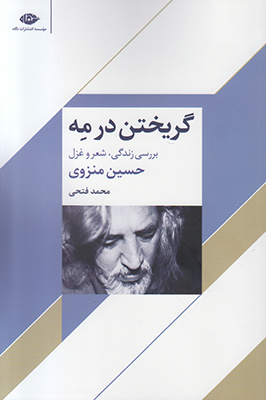 گریختن در مه