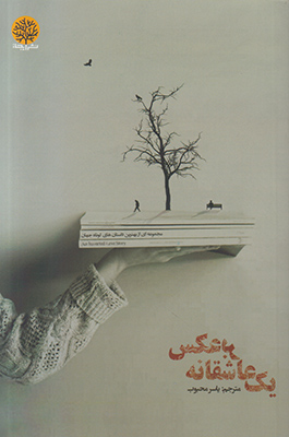 یک عاشقانه برعکس