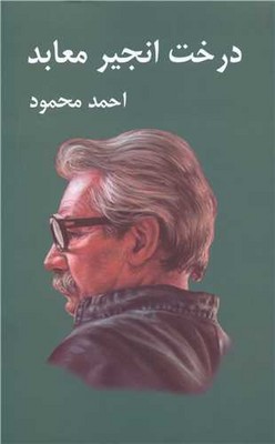 درخت انجیر معابد ( 2 جلدی )