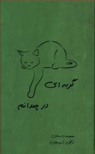 گربه ای در چمدانم