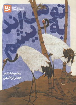 به تو می اندیشم