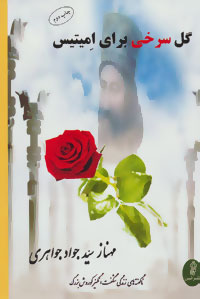 گل سرخی برای امیتیس (گالینگور)