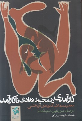 کارآمدی در محیط نهادی ناکارآمد