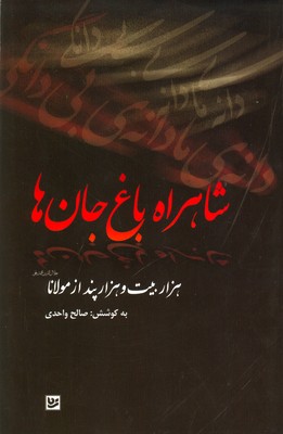 شاهراه باغ جان ها