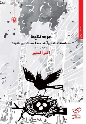 جوجه کلاغ ها سیاه به دنیا نمی آیند
