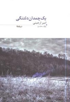 یک چمدان دلتنگی (پازل شعر امروز)