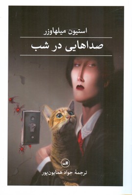 صداهایی در شب