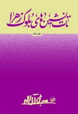 تات نشین های بلوک زهرا